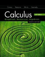 Calculus Graphical Numerical Algebraic
