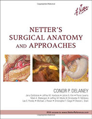 Netter's Surgical Anatomy and Approaches by Delaney