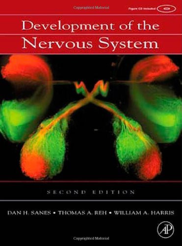 Development Of The Nervous System