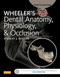 Wheeler's Dental Anatomy Physiology And Occlusion
