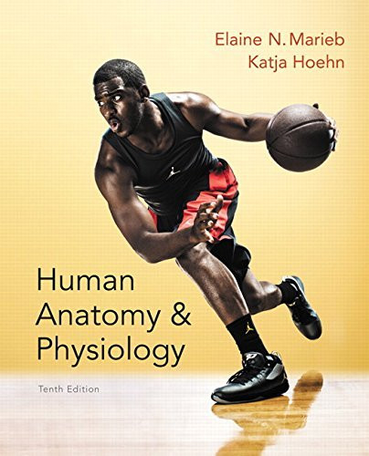 Human Anatomy And Physiology