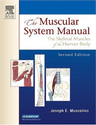 Muscular System Manual