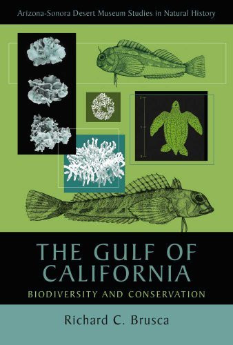 Gulf Of California