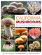 California Mushrooms