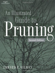 Illustrated Guide To Pruning