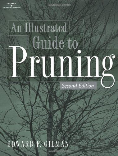 Illustrated Guide To Pruning