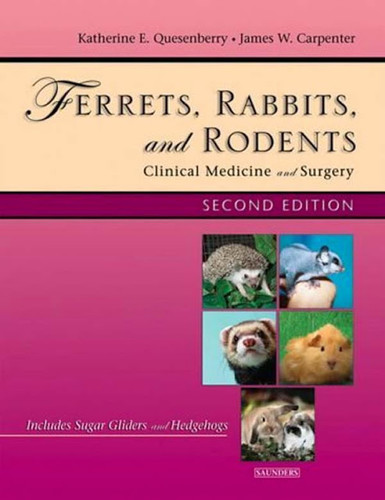 Ferrets Rabbits And Rodents