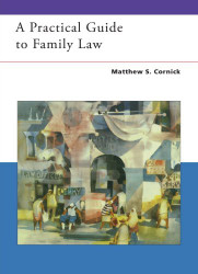 Practical Guide To Family Law
