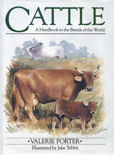 Cattle