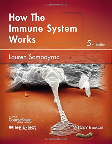 How The Immune System Works