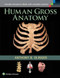 Human Gross Anatomy