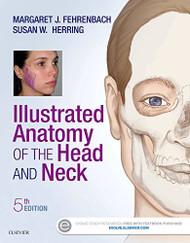 Illustrated Anatomy Of The Head And Neck