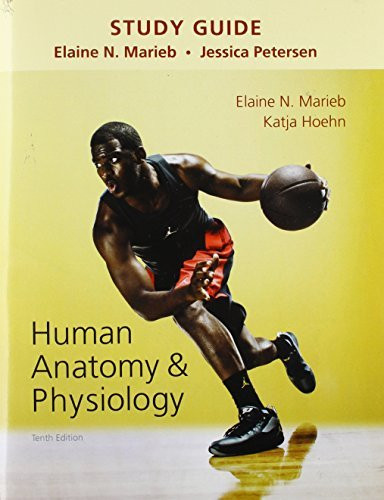 Study Guide For Human Anatomy And Physiology