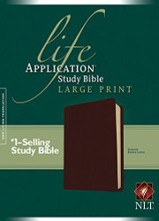 Life Application Study Bible Nlt Large Print
