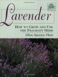 Lavender: How to Grow and Use the Fragrant Herb