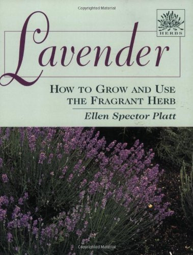 Lavender: How to Grow and Use the Fragrant Herb