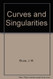 Curves and Singularities