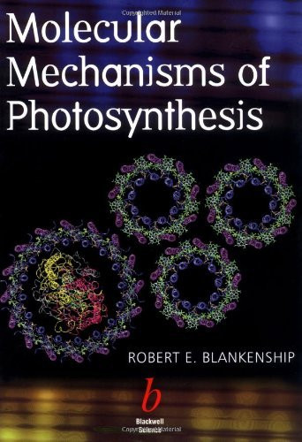 Molecular Mechanisms Of Photosynthesis