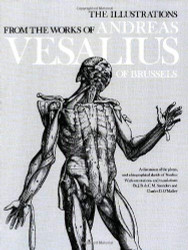 Illustrations From The Works Of Andreas Vesalius Of Brussels