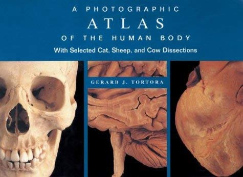 Photographic Atlas Of The Human Body