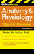 Anatomy And Physiology