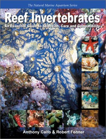 Reef Invertebrates