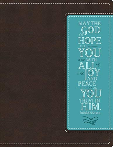 NIV Beautiful Word Bible Imitation Leather Brown/Blue