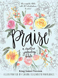 Praise A Creative Journaling Bible