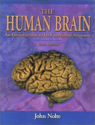 Human Brain