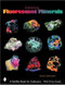 Collecting Fluorescent Minerals