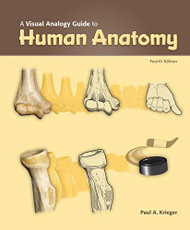 Visual Analogy Guide To Human Anatomy