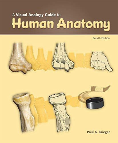 Visual Analogy Guide To Human Anatomy