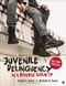 Juvenile Delinquency in a Diverse Society