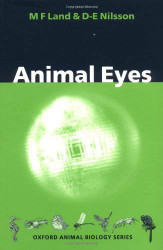 Animal Eyes