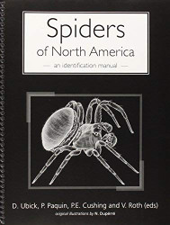 Spiders Of North America