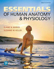 Essentials Of Human Anatomy And Physiology