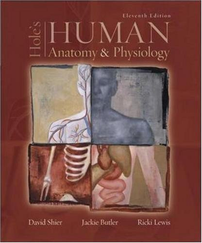 Hole's Human Anatomy And Physiology
