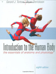 Introduction To The Human Body