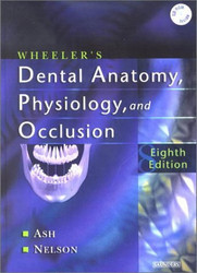 Wheeler's Dental Anatomy Physiology And Occlusion