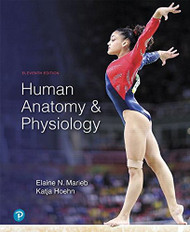 Human Anatomy and Physiology