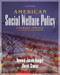 American Social Welfare Policy