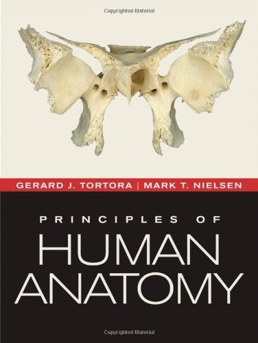 Principles Of Human Anatomy