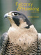 Falconry & Hawking