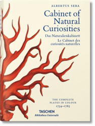 Seba: Cabinet of Natural Curiosities