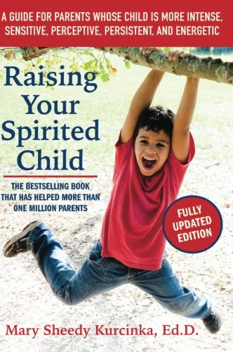 Raising Your Spirited Child