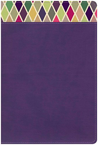 CSB Rainbow Study Bible Purple LeatherTouch