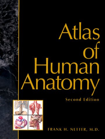 Atlas Of Human Anatomy by Frank H Netter