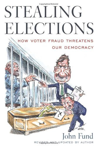 Stealing Elections