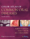 Color Atlas Of Common Oral Diseases