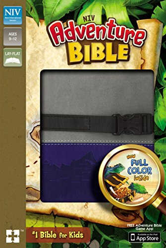 NIV Adventure Bible Imitation Leather Gray/Blue Full Color